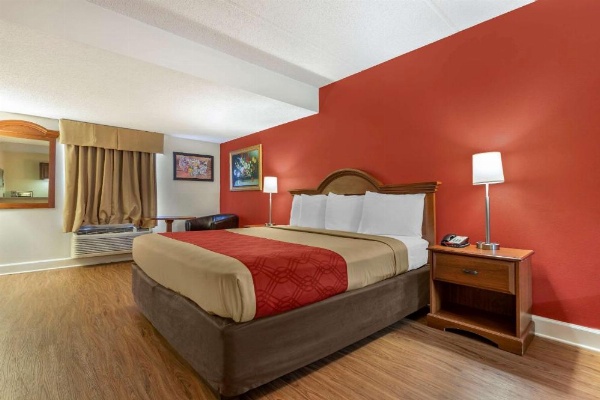 Econo Lodge Inn & Suites Lugoff image 25